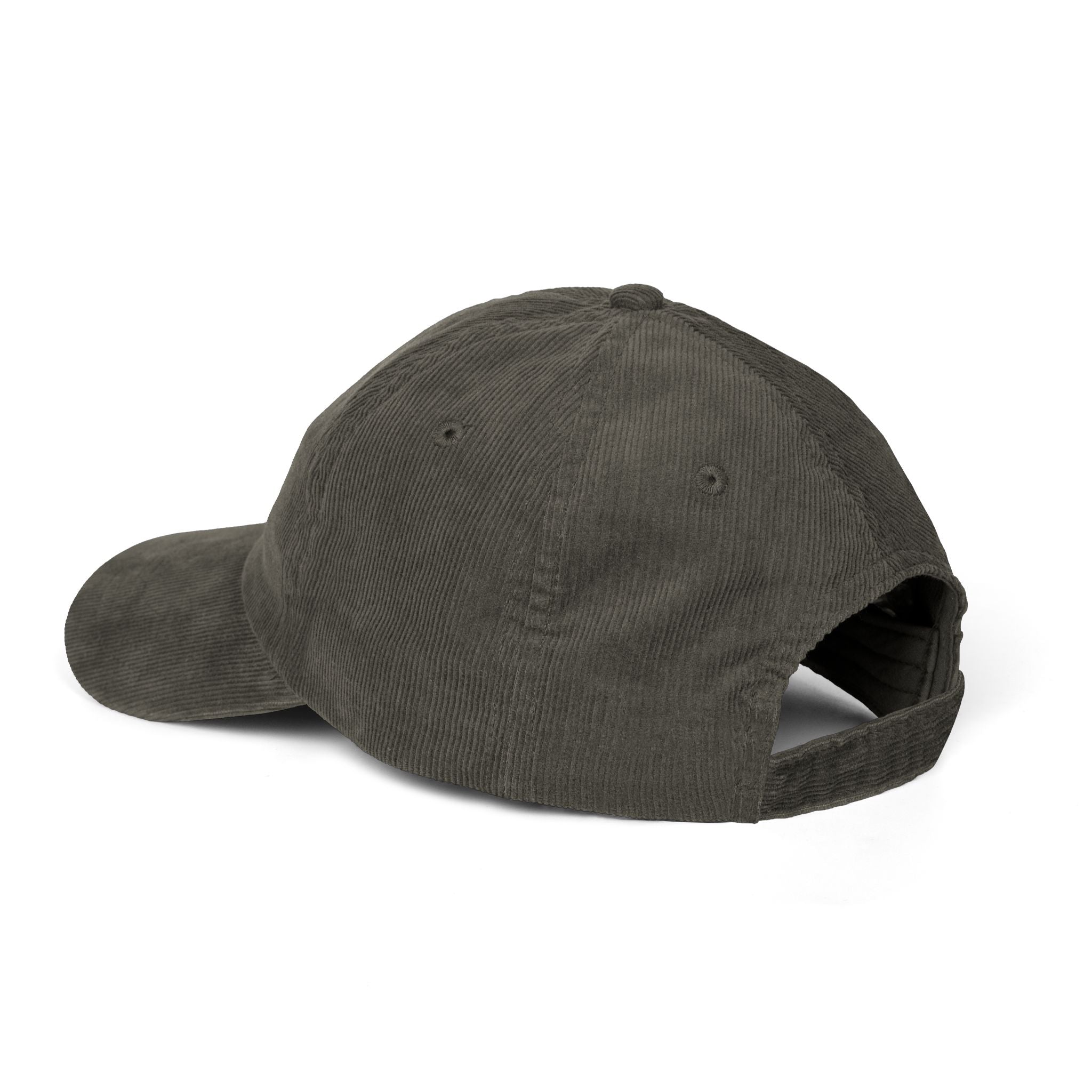 Mostly OK Corduroy Cap — Embroidered Fabric